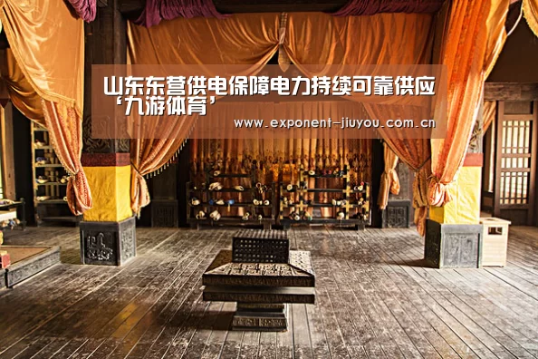 山东东营供电保障电力持续可靠供应‘九游体育’