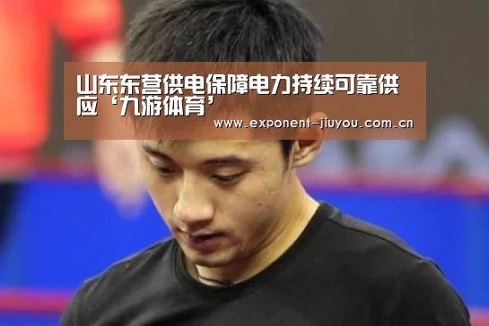 山东东营供电保障电力持续可靠供应‘九游体育’(图3) 九游体育