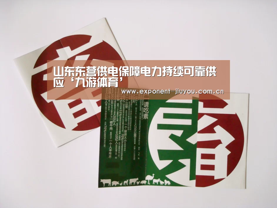 山东东营供电保障电力持续可靠供应‘九游体育’(图2) 九游体育