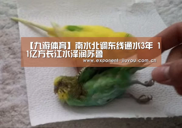 【九游体育】南水北调东线通水3年 11亿方长江水泽润苏鲁(图4) 九游体育