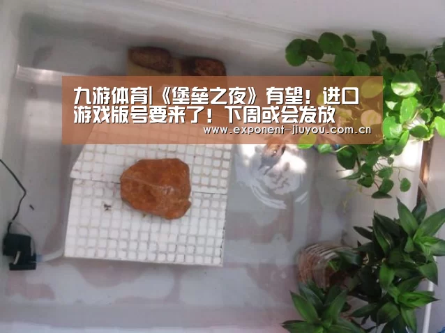 九游体育|《堡垒之夜》有望!进口游戏版号要来了!下周或会发放(图2) 九游体育