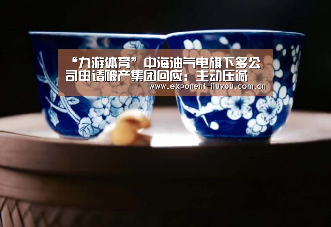 “九游体育”中海油气电旗下多公司申请破产集团回应:主动压减(图3) 九游体育