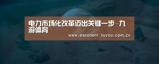 电力市场化改革迈出关键一步-九游体育