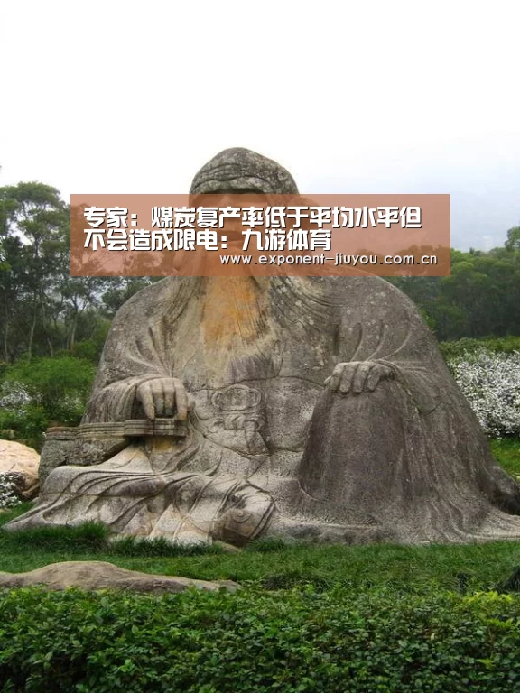 专家：煤炭复产率低于平均水平但不会造成限电：九游体育