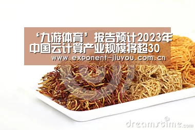 ‘九游体育’报告预计2023年中国云计算产业规模将超3000