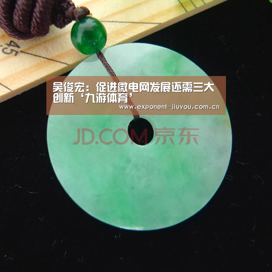 吴俊宏:促进微电网发展还需三大创新‘九游体育’(图3) 九游体育