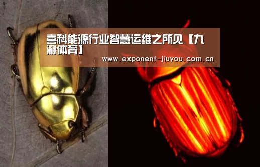 喜科能源行业智慧运维之所见【九游体育】(图2) 九游体育