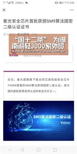 “国十二条” 为湖南减轻3000家外贸负担，促进行业发展-九