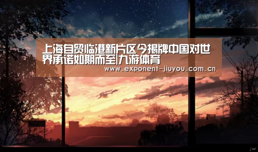 上海自贸临港新片区今揭牌中国对世界承诺如期而至|九游体育